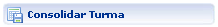 btn_consolidar_turma.png btn_consolidar_turma.png