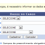 dadosdocargo.png
